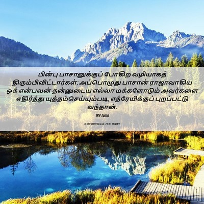 Picture 06 - எண்ணாகமம் 21:33 TAMIRV - பின்பு - Bible Verse Picture