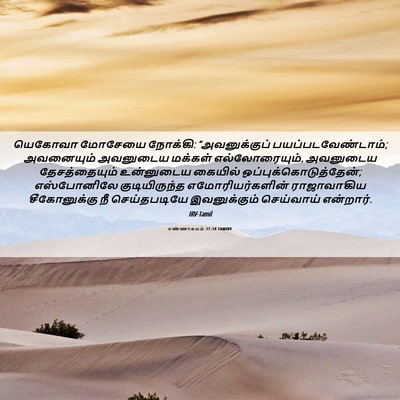 Picture 06 - எண்ணாகமம் 21:34 TAMIRV - யெகோவா மோசேயை - Bible Verse Picture