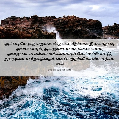 Picture 06 - எண்ணாகமம் 21:35 TAMIRV - அப்படியே ஒருவரும் - Bible Verse Picture