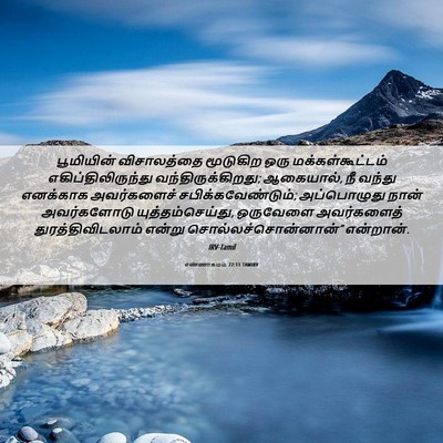 Picture 06 - எண்ணாகமம் 22:11 TAMIRV - பூமியின் - Bible Verse Picture