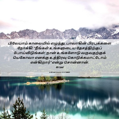 Picture 06 - எண்ணாகமம் 22:13 TAMIRV - பிலேயாம் காலையில் - Bible Verse Picture