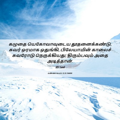 Picture 06 - எண்ணாகமம் 22:25 TAMIRV - கழுதை யெகோவாவுடைய - Bible Verse Picture