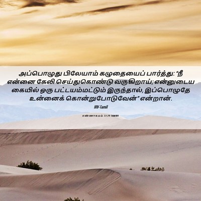 Picture 06 - எண்ணாகமம் 22:29 TAMIRV - அப்பொழுது - Bible Verse Picture
