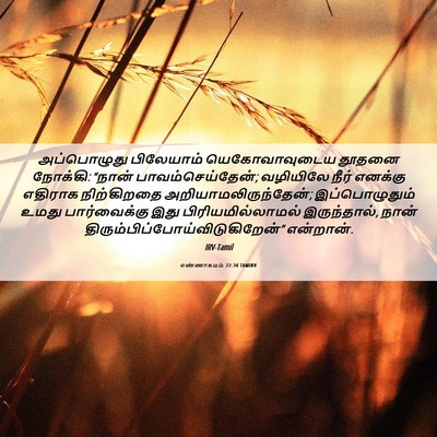 Picture 06 - எண்ணாகமம் 22:34 TAMIRV - அப்பொழுது - Bible Verse Picture