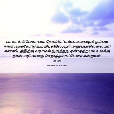 Picture 06 - எண்ணாகமம் 22:37 TAMIRV - பாலாக் பிலேயாமை - Bible Verse Picture