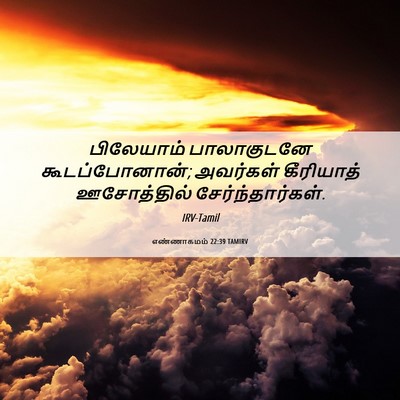 Picture 06 - எண்ணாகமம் 22:39 TAMIRV - பிலேயாம் - Bible Verse Picture