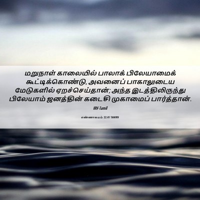 Picture 06 - எண்ணாகமம் 22:41 TAMIRV - மறுநாள் காலையில் - Bible Verse Picture