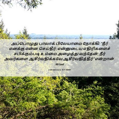 Picture 06 - எண்ணாகமம் 23:11 TAMIRV - அப்பொழுது பாலாக் - Bible Verse Picture