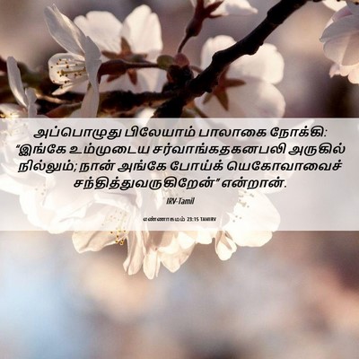 Picture 06 - எண்ணாகமம் 23:15 TAMIRV - அப்பொழுது - Bible Verse Picture