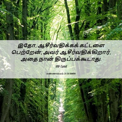 Picture 06 - எண்ணாகமம் 23:20 TAMIRV - இதோ, - Bible Verse Picture
