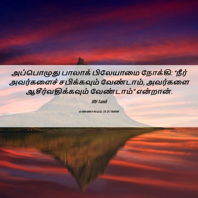 Picture 06 - எண்ணாகமம் 23:25 TAMIRV - அப்பொழுது பாலாக் - Bible Verse Picture