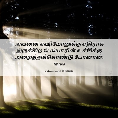 Picture 06 - எண்ணாகமம் 23:28 TAMIRV - அவனை எஷிமோனுக்கு - Bible Verse Picture