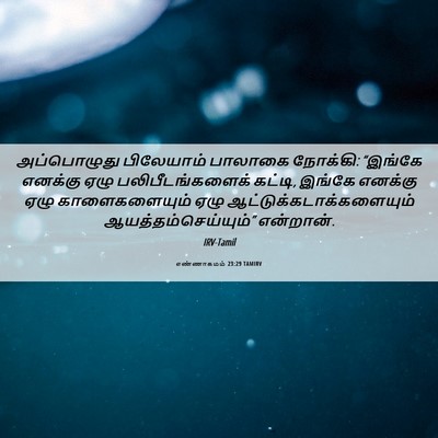 Picture 06 - எண்ணாகமம் 23:29 TAMIRV - அப்பொழுது - Bible Verse Picture