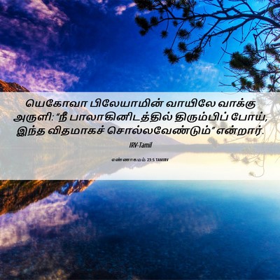 Picture 06 - எண்ணாகமம் 23:5 TAMIRV - யெகோவா பிலேயாமின் - Bible Verse Picture