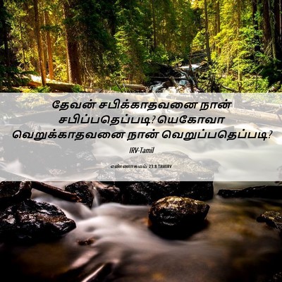 Picture 06 - எண்ணாகமம் 23:8 TAMIRV - தேவன் சபிக்காதவனை - Bible Verse Picture