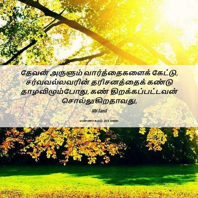 Picture 06 - எண்ணாகமம் 24:4 TAMIRV - தேவன் அருளும் - Bible Verse Picture