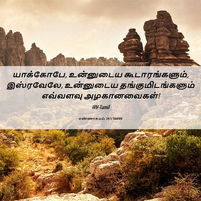 Picture 06 - எண்ணாகமம் 24:5 TAMIRV - யாக்கோபே, - Bible Verse Picture
