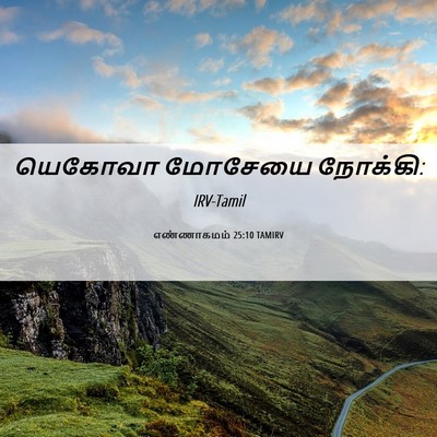 Picture 06 - எண்ணாகமம் 25:10 TAMIRV - யெகோவா மோசேயை - Bible Verse Picture