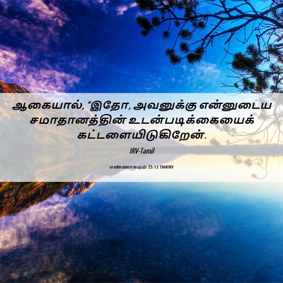 Picture 06 - எண்ணாகமம் 25:12 TAMIRV - ஆகையால், “இதோ, - Bible Verse Picture