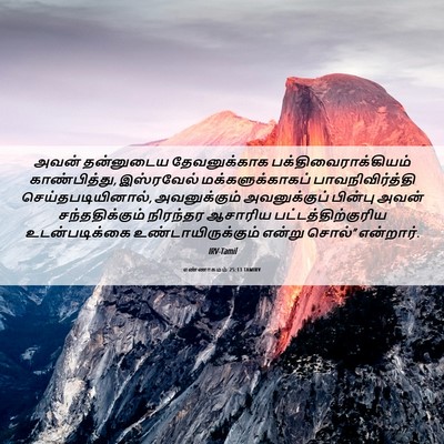 Picture 06 - எண்ணாகமம் 25:13 TAMIRV - அவன் தன்னுடைய - Bible Verse Picture