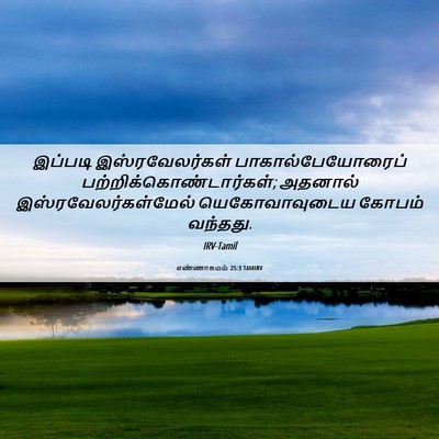 Picture 06 - எண்ணாகமம் 25:3 TAMIRV - இப்படி - Bible Verse Picture