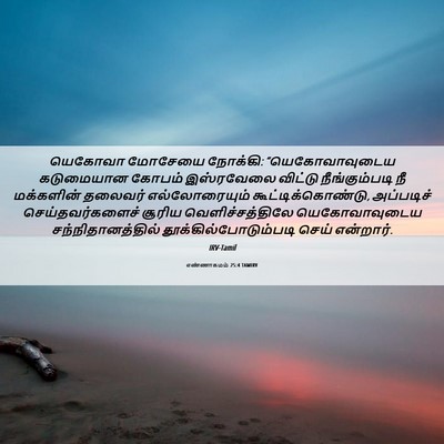 Picture 06 - எண்ணாகமம் 25:4 TAMIRV - யெகோவா மோசேயை - Bible Verse Picture