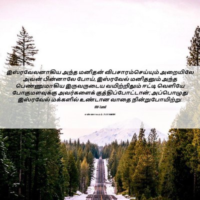 Picture 06 - எண்ணாகமம் 25:8 TAMIRV - இஸ்ரவேலனாகிய அந்த - Bible Verse Picture