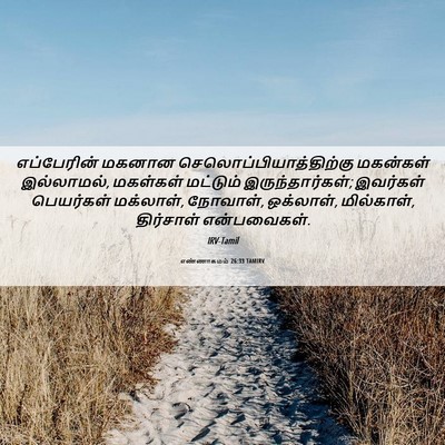 Picture 06 - எண்ணாகமம் 26:33 TAMIRV - எப்பேரின் மகனான - Bible Verse Picture