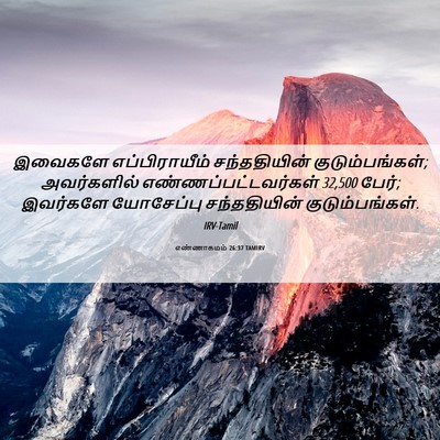 Picture 06 - எண்ணாகமம் 26:37 TAMIRV - இவைகளே - Bible Verse Picture