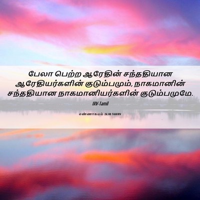 Picture 06 - எண்ணாகமம் 26:40 TAMIRV - பேலா பெற்ற - Bible Verse Picture