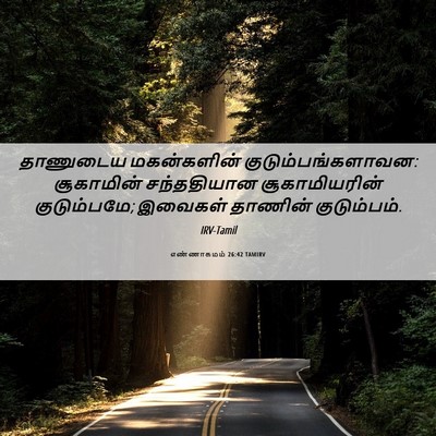 Picture 06 - எண்ணாகமம் 26:42 TAMIRV - தாணுடைய மகன்களின் - Bible Verse Picture
