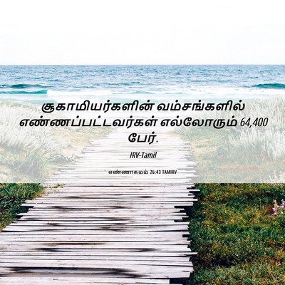 Picture 06 - எண்ணாகமம் 26:43 TAMIRV - சூகாமியர்களின் - Bible Verse Picture