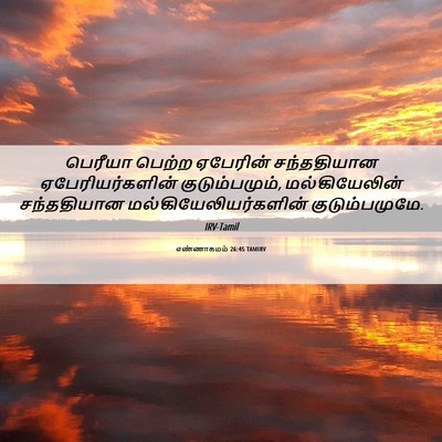 Picture 06 - எண்ணாகமம் 26:45 TAMIRV - பெரீயா பெற்ற - Bible Verse Picture