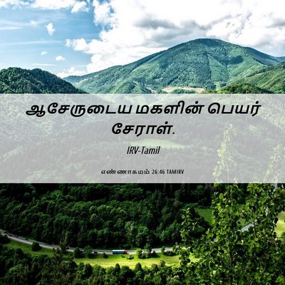 Picture 06 - எண்ணாகமம் 26:46 TAMIRV - ஆசேருடைய மகளின் - Bible Verse Picture