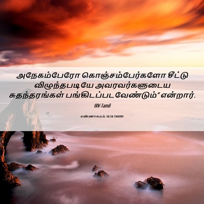 Picture 06 - எண்ணாகமம் 26:56 TAMIRV - அநேகம்பேரோ - Bible Verse Picture