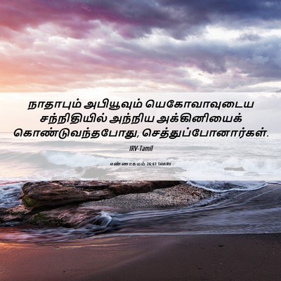 Picture 06 - எண்ணாகமம் 26:61 TAMIRV - நாதாபும் - Bible Verse Picture