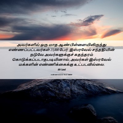 Picture 06 - எண்ணாகமம் 26:62 TAMIRV - அவர்களில் ஒரு மாத - Bible Verse Picture