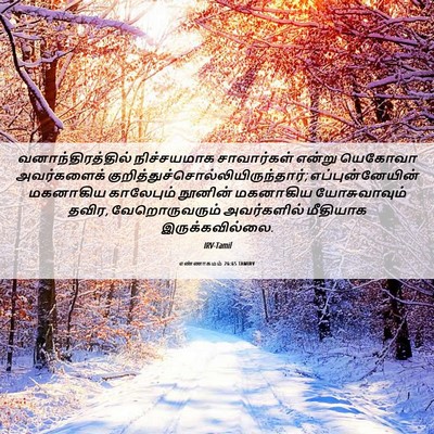 Picture 06 - எண்ணாகமம் 26:65 TAMIRV - வனாந்திரத்தில் - Bible Verse Picture