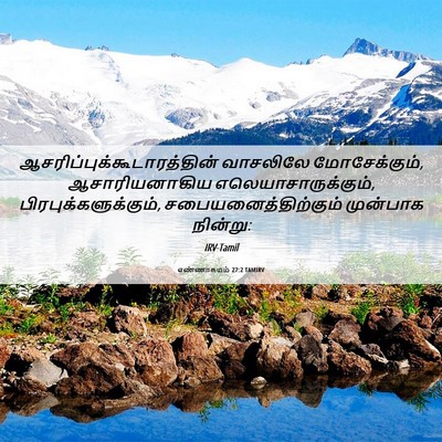 Picture 06 - எண்ணாகமம் 27:2 TAMIRV -  - Bible Verse Picture