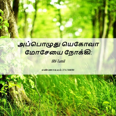 Picture 06 - எண்ணாகமம் 27:6 TAMIRV - அப்பொழுது யெகோவா - Bible Verse Picture