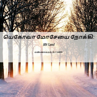 Picture 06 - எண்ணாகமம் 28:1 TAMIRV - யெகோவா மோசேயை - Bible Verse Picture