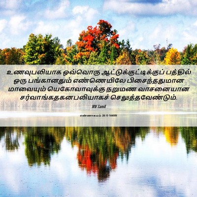Picture 06 - எண்ணாகமம் 28:13 TAMIRV - உணவுபலியாக - Bible Verse Picture