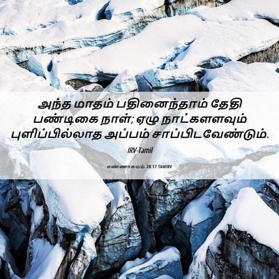 Picture 06 - எண்ணாகமம் 28:17 TAMIRV - அந்த மாதம் - Bible Verse Picture
