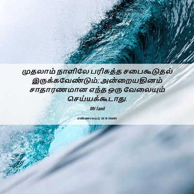 Picture 06 - எண்ணாகமம் 28:18 TAMIRV - முதலாம் நாளிலே - Bible Verse Picture