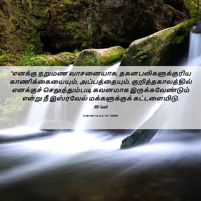 Picture 06 - எண்ணாகமம் 28:2 TAMIRV - “எனக்கு நறுமண - Bible Verse Picture