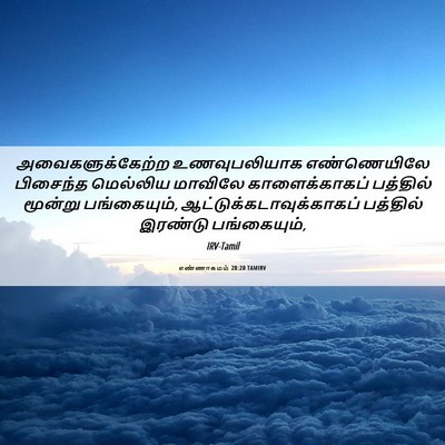Picture 06 - எண்ணாகமம் 28:20 TAMIRV - அவைகளுக்கேற்ற - Bible Verse Picture