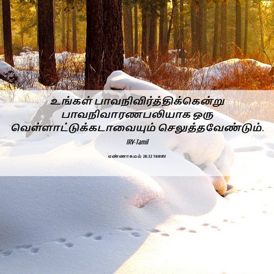 Picture 06 - எண்ணாகமம் 28:22 TAMIRV - உங்கள் - Bible Verse Picture