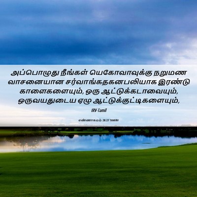 Picture 06 - எண்ணாகமம் 28:27 TAMIRV - அப்பொழுது நீங்கள் - Bible Verse Picture