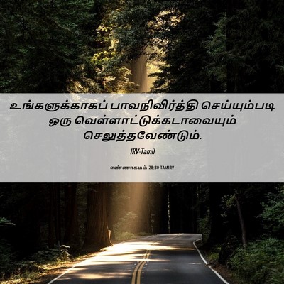 Picture 06 - எண்ணாகமம் 28:30 TAMIRV - உங்களுக்காகப் - Bible Verse Picture