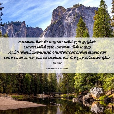 Picture 06 - எண்ணாகமம் 28:8 TAMIRV - காலையின் - Bible Verse Picture